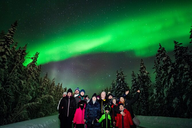 Family-Friendly: Northern Lights Adventure from Rovaniemi - Rovaniemi Northern Lights, Without the Chaos