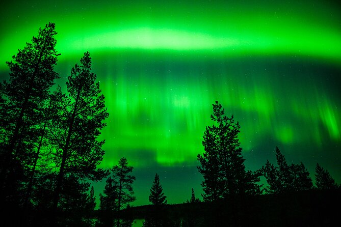 Family-Friendly: Northern Lights Adventure from Rovaniemi - Camera Strategy: Bring Your Own, Use the Tripod Help