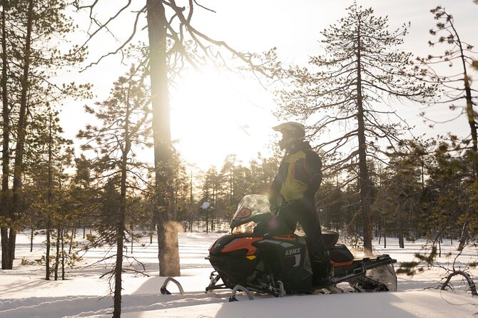 Family Snowmobile Safari in Rovaniemi - Rovaniemi family snowmobile safari: what makes it work