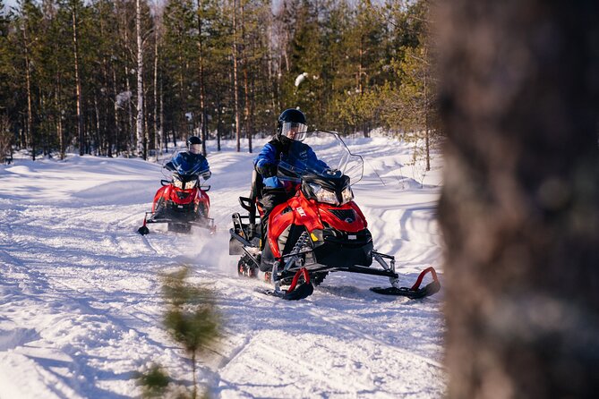 Family Snowmobiling in Rovaniemi, Apukka Resort - Group size and pacing: why max 40 can be a sweet spot
