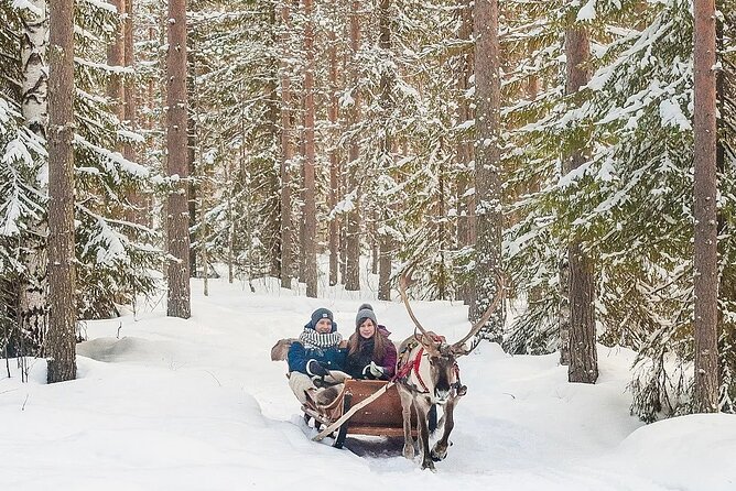 Forest Trail Reindeer Safari - Practical Notes on Timing, Group Size, and Photo Chances