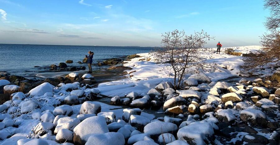 From Helsinki: Archipelago Excursion in Porkkalaniemi - Who should book this Porkkalaniemi excursion?