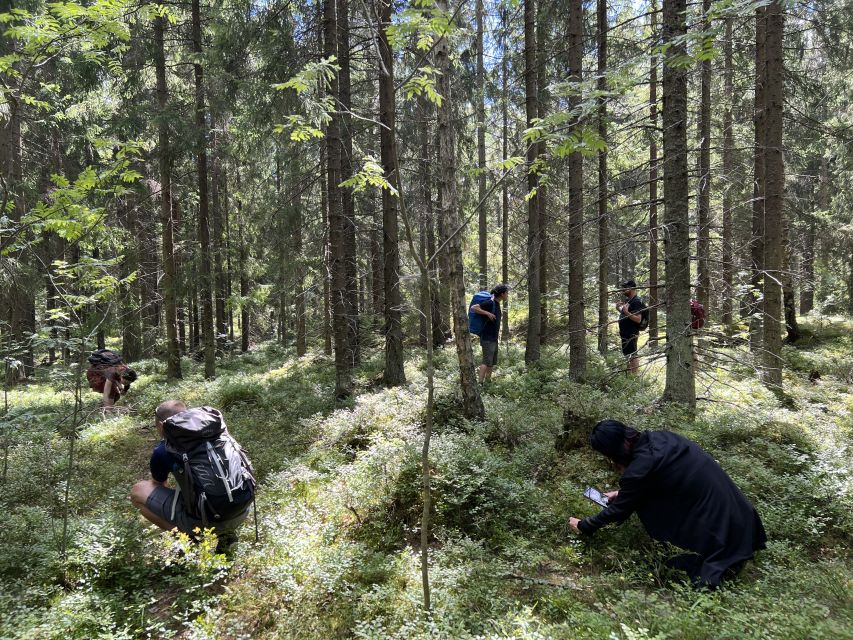 From Helsinki: Hike and Sauna in Sipoonkorpi National Park - Quick take: what stands out on this Sipoonkorpi day