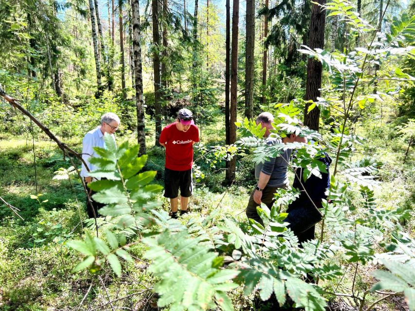 From Helsinki: Hike and Sauna in Sipoonkorpi National Park - Lunch stop and the stair reality check