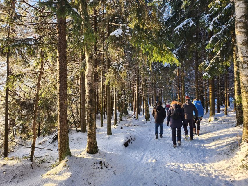 From Helsinki: Hike and Sauna in Sipoonkorpi National Park - Smoke sauna and löyly at 80 to 100 C