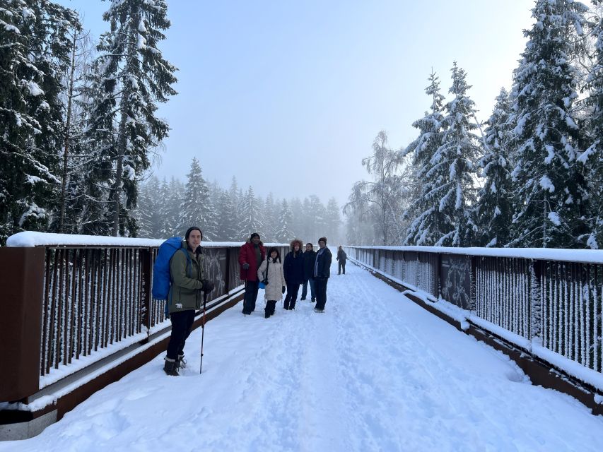 From Helsinki: Hike and Sauna in Sipoonkorpi National Park - Price and value: is $194 really worth it?