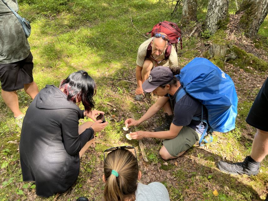 From Helsinki: Hike and Sauna in Sipoonkorpi National Park - Who this Sipoonkorpi sauna hike fits best