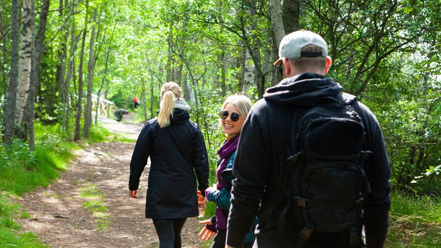 From Helsinki: Magical Taiga Hike in Liesjärvi National Park - From Kiasma Square to the Taiga: How the Day Really Starts