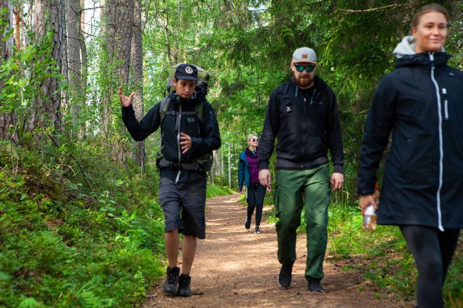 From Helsinki: Magical Taiga Hike in Liesjärvi National Park - The Short Return Walk: How They Keep the Day from Dragging