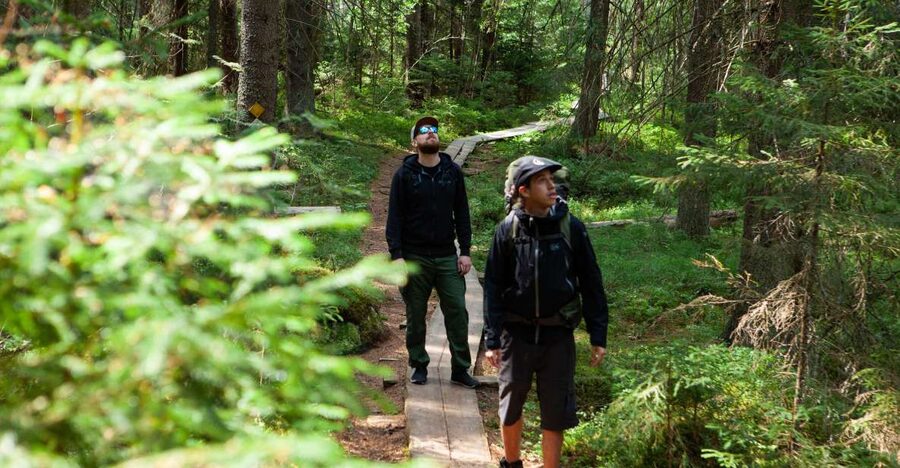 From Helsinki: Magical Taiga Hike in Liesjärvi National Park - Guides, Group Energy, and What the Best Days Have in Common