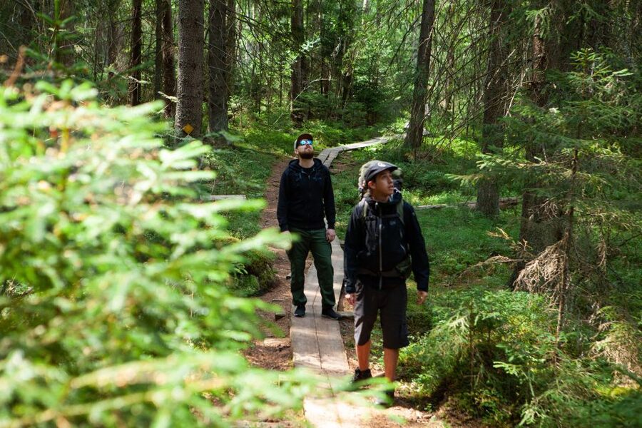 From Helsinki: Magical Taiga Hike in Liesjärvi National Park - Entering Liesjärvi: What the 2-Hour Guided Walk Feels Like