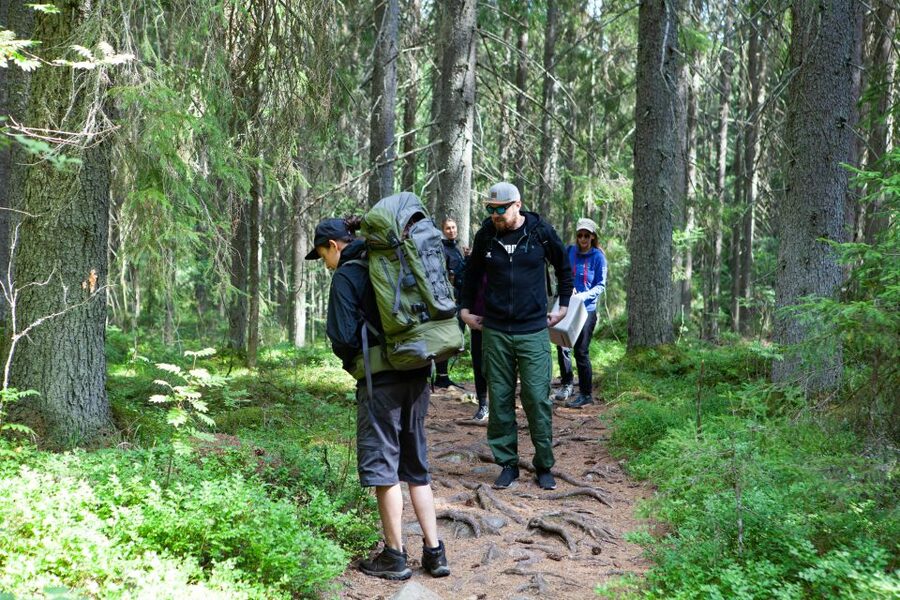From Helsinki: Mushroom Hunting Tour in a National Park - Transport, timing, and the small-group advantage
