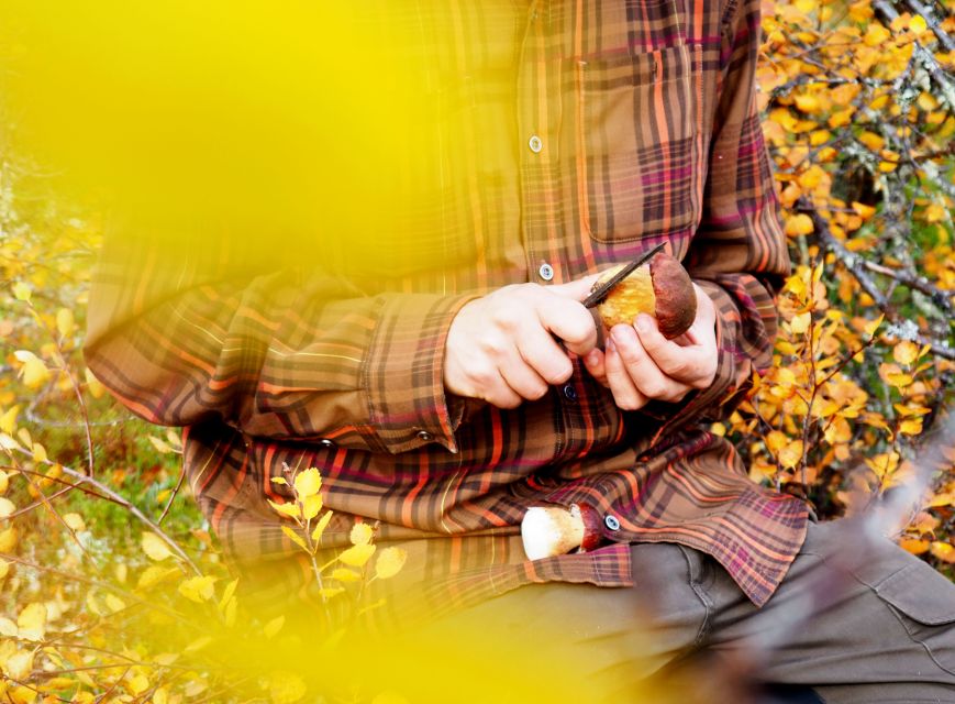 From Helsinki: Mushroom Hunting Tour in a National Park - Price and value: why $182 can make sense for a wild-food day