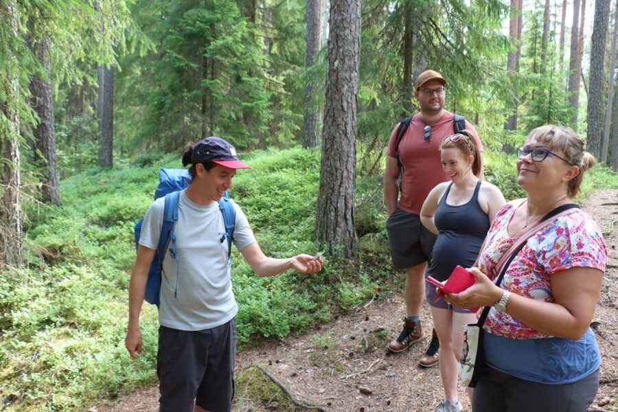 From Helsinki: Mushroom Hunting Tour in a National Park - Responsibility and sustainability in the woods