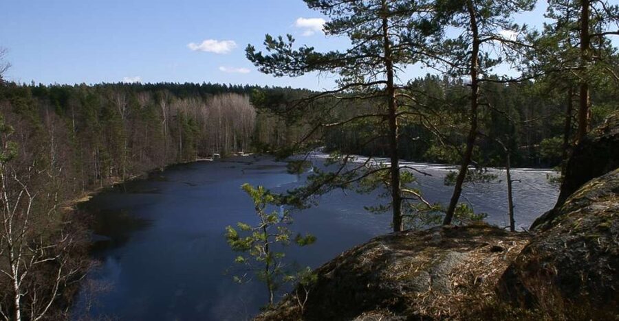 From Helsinki: Nuuksio National Park Half-Day Trip - Getting from Helsinki to Nuuksio without the stress