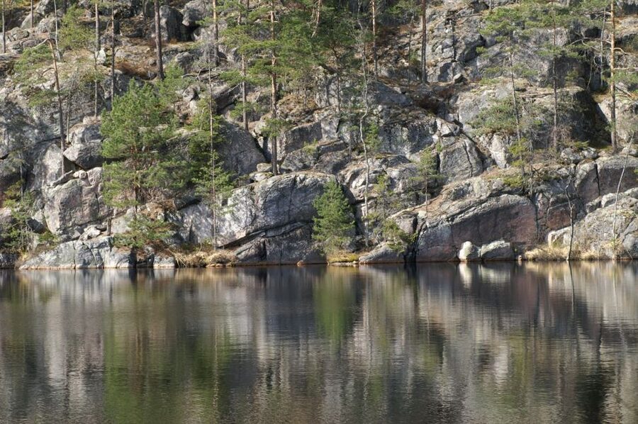 From Helsinki: Nuuksio National Park Half-Day Trip - Wildlife moments you might actually get to see
