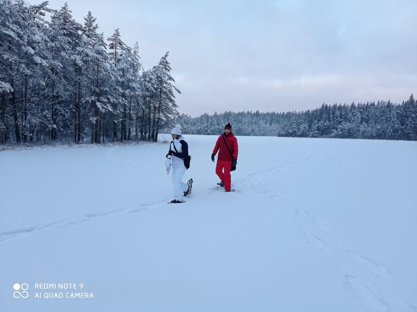 From Helsinki: Nuuksio National Park Hiking Tour with Food - From Museokatu 8 to a Finnish Taiga, fast