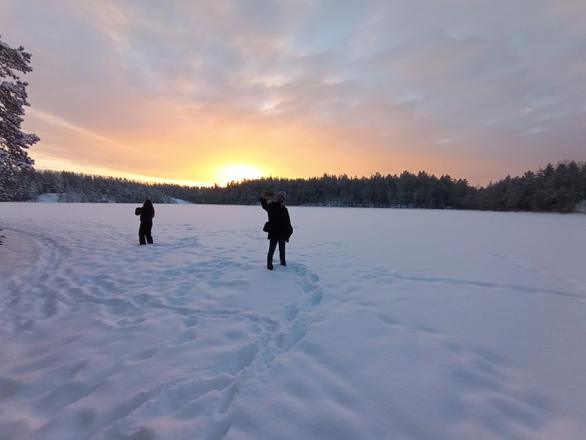 From Helsinki: Nuuksio National Park Hiking Tour with Food - Logistics that matter: meeting spot, no hotel pickup, and language support