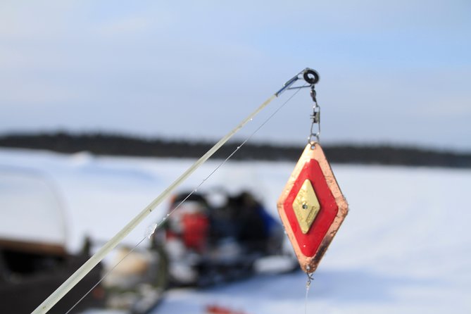 From Ivalo: Ice Fishing Safari to Lake Inari, reindeers & lunch - Reindeer on an Island: The Ending That Makes It Feel Complete