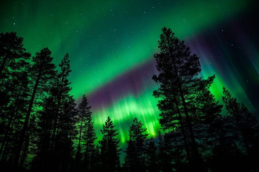 From Rovaniemi: Family-Friendly Northern Lights Tour - Key things that make this tour work well