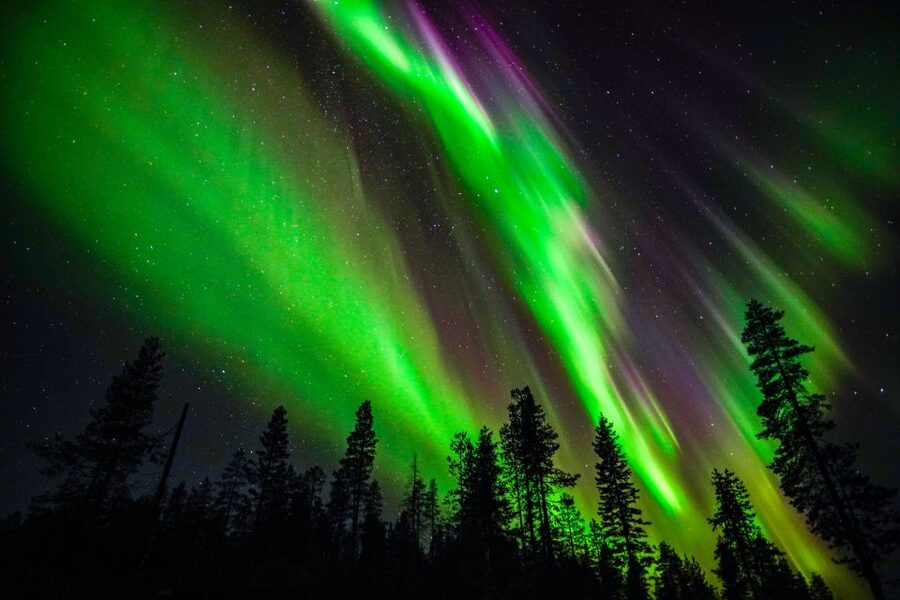From Rovaniemi: Family-Friendly Northern Lights Tour - Northern Lights that fit a family bedtime schedule