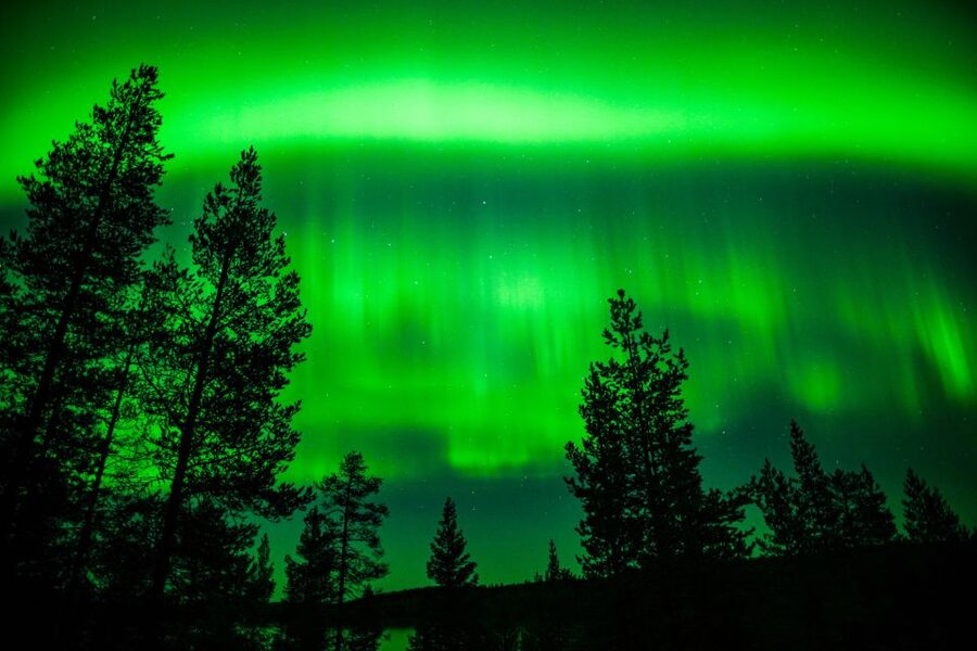 From Rovaniemi: Family-Friendly Northern Lights Tour - The drive to darkness: private aurora hunting without the crowds