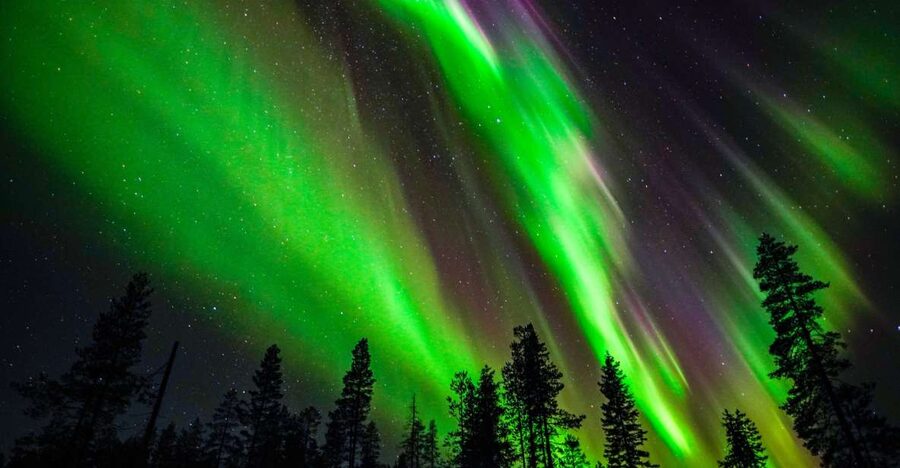 From Rovaniemi: Family-Friendly Northern Lights Tour - Waiting for the sky in snowy forests, with guide-led warmth
