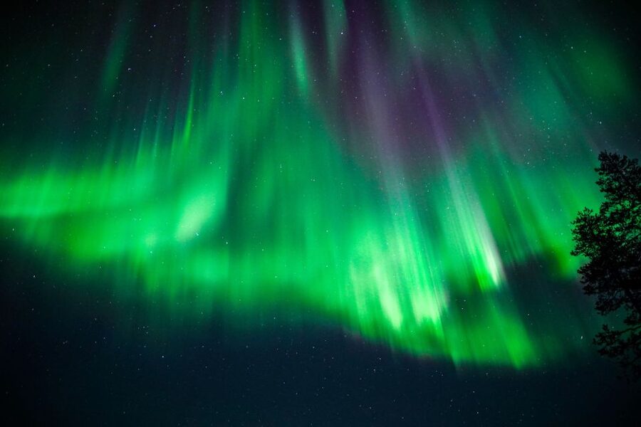 From Rovaniemi: Family-Friendly Northern Lights Tour - Small group pacing and why guides matter more than you think