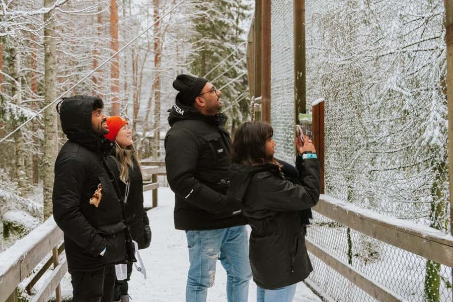 From Rovaniemi: Family Friendly Visit to Ranua Wildlife Park - Ranua Wildlife Park, the Arctic animals you actually came for