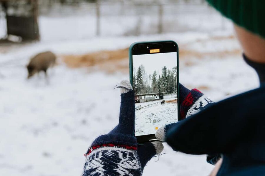 From Rovaniemi: Family Friendly Visit to Ranua Wildlife Park - The guided walkthrough, how you get more from each animal