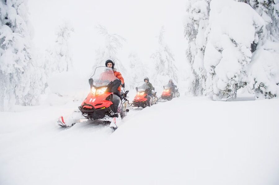 From Rovaniemi: Guided Lapland Snowmobile Adventure - Key highlights at a glance