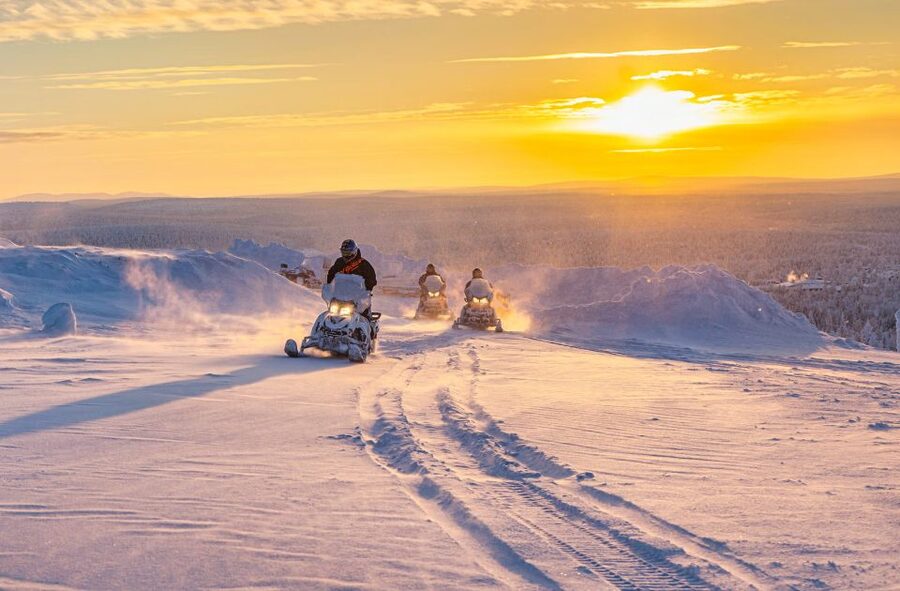 From Rovaniemi: Guided Lapland Snowmobile Adventure - On the trail: Taiga forests, frozen ground, and photo stops
