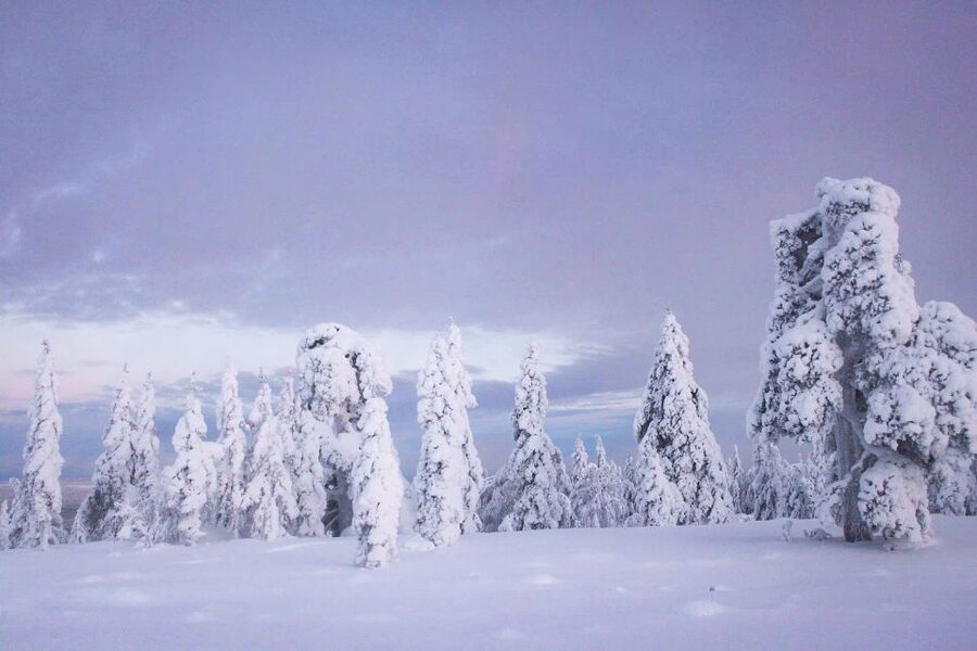 From Rovaniemi: Guided Lapland Snowmobile Adventure - Safety, responsibility, and what to read before you go