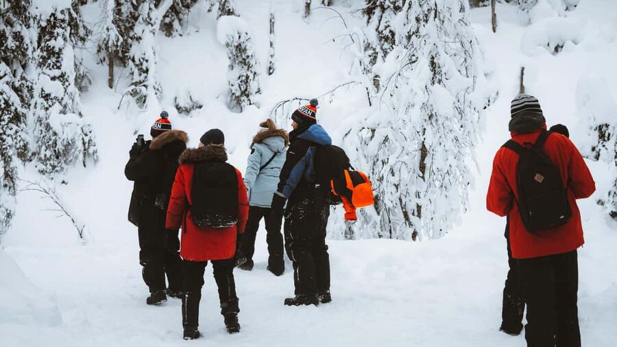 From Rovaniemi: Korouoma & Auttiköngäs Frozen Waterfalls - Price and Value: What $153 Gets You, and What You Should Expect