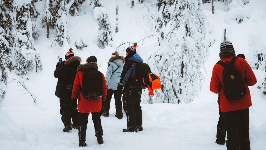 From Rovaniemi: Korouoma Canyon and Frozen Waterfalls Tour - The campfire snack in the wilderness: more than just warmth