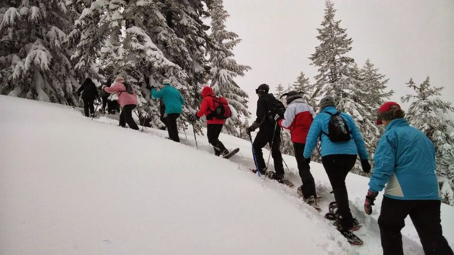 From Rovaniemi: Korouoma Frozen Waterfalls Small-Group Hike - The 5 km Hike Through Crisp Snow and Frozen Waterfall Spots
