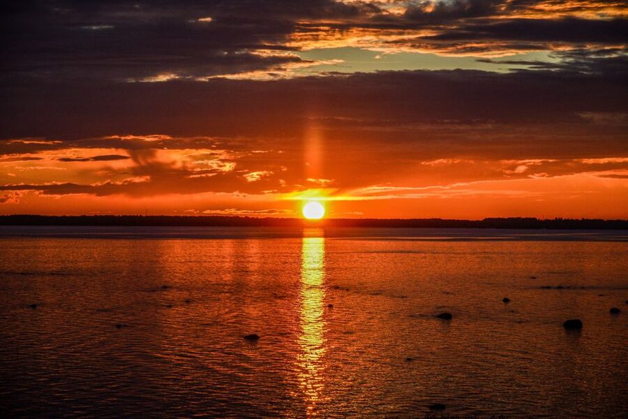 From Rovaniemi: Midnight Sun Forest Lake Float - The forest walk into Finnish Lapland, then straight to the shore