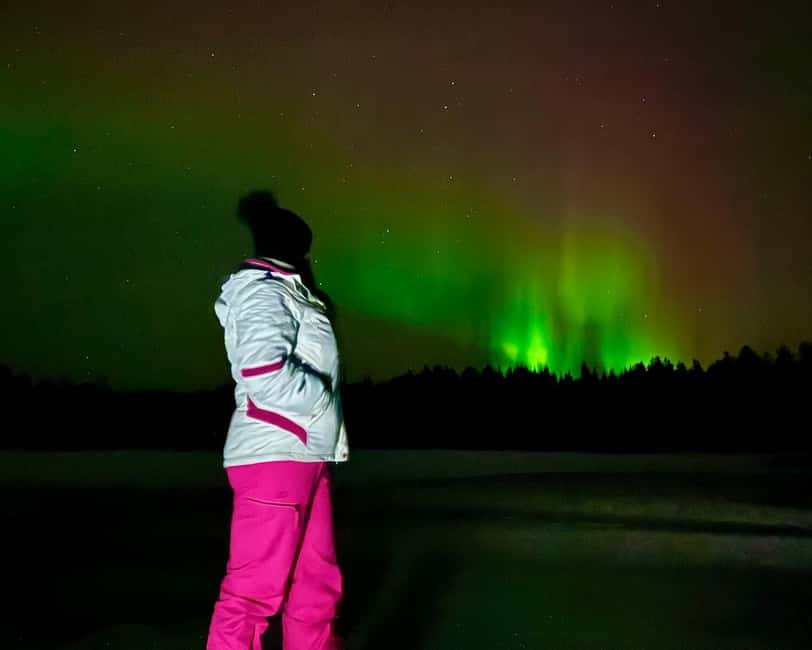 From Rovaniemi: Night Tour in Search of the Aurora with BBQ - Key points that make this tour worth your winter night
