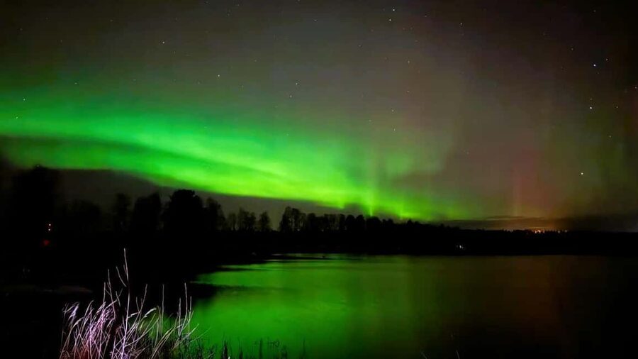 From Rovaniemi: Night Tour in Search of the Aurora with BBQ - Price and what you really get for $85