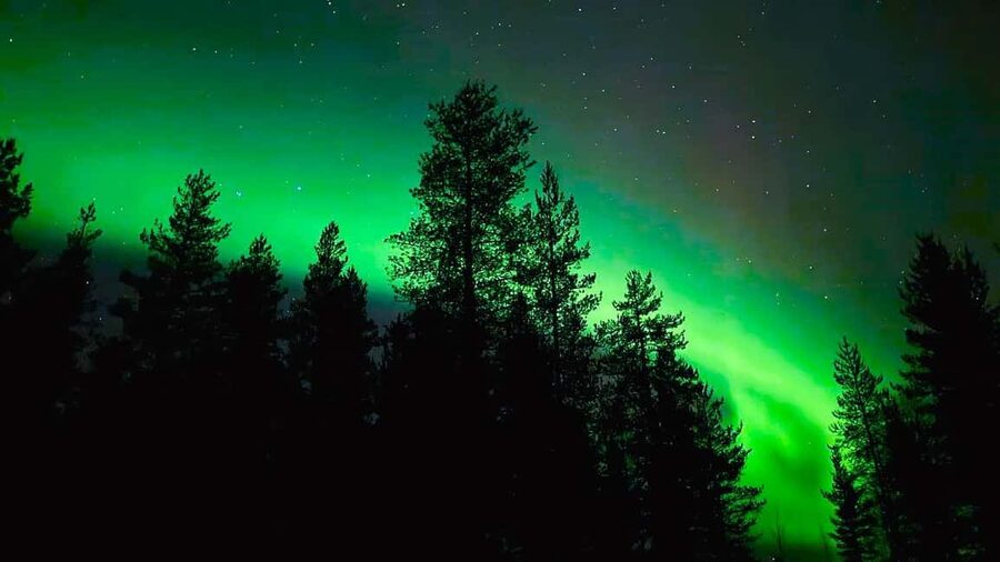 From Rovaniemi: Night Tour in Search of the Aurora with BBQ - Photo help: what you should know before you bring your camera