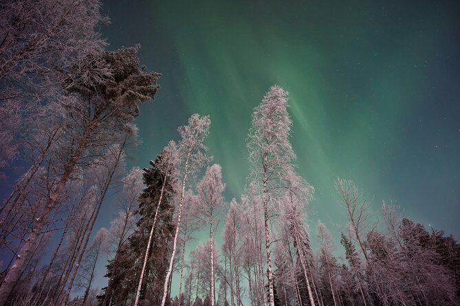From Rovaniemi: Northern Lights Tour with Campfire Snacks - Why Two Stops Beat One When Chasing the Northern Lights
