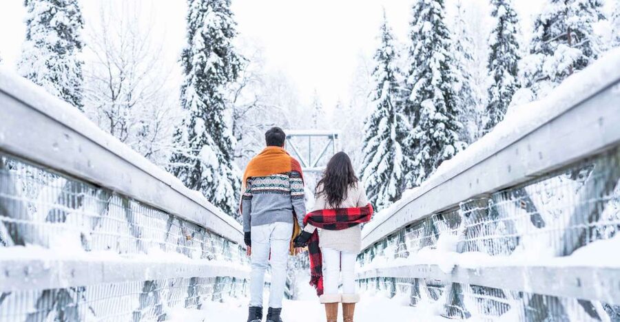From Rovaniemi: Private Photoshoot in the Lappish Wilderness - The Secret Stop: Why One Carefully Chosen Location Works