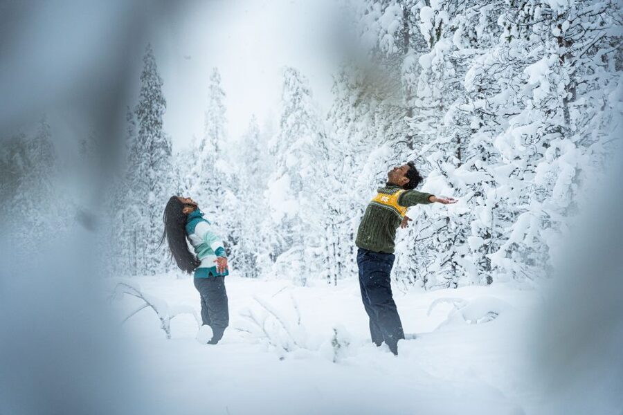 From Rovaniemi: Private Photoshoot in the Lappish Wilderness - Price and Value: Is $330 Per Group Worth It?