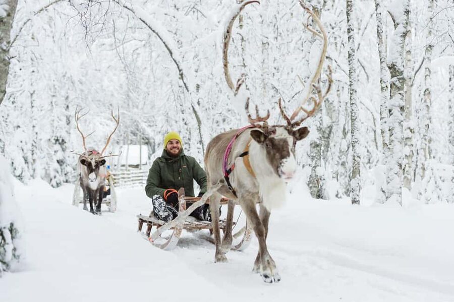From Rovaniemi: Reindeer Farm Visit with Sleigh Ride - Key Things to Know Before You Go
