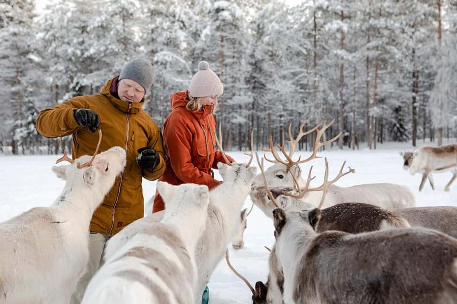 From Rovaniemi: Reindeer Farm Visit with Sleigh Ride - Animal Welfare and Experience Quality: How to Choose the Right Mindset