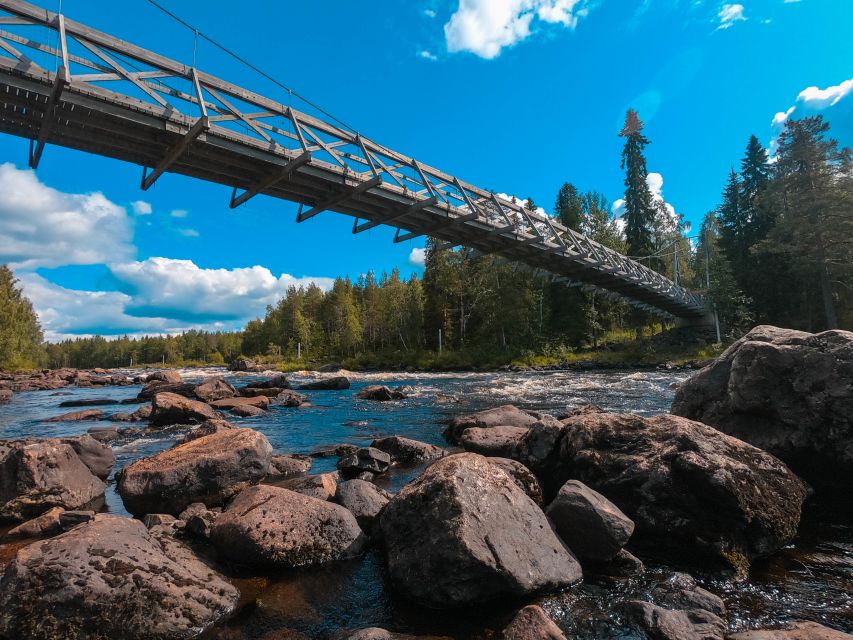 From Rovaniemi: Vikaköngäs Forest Hiking Tour - Key highlights to look for