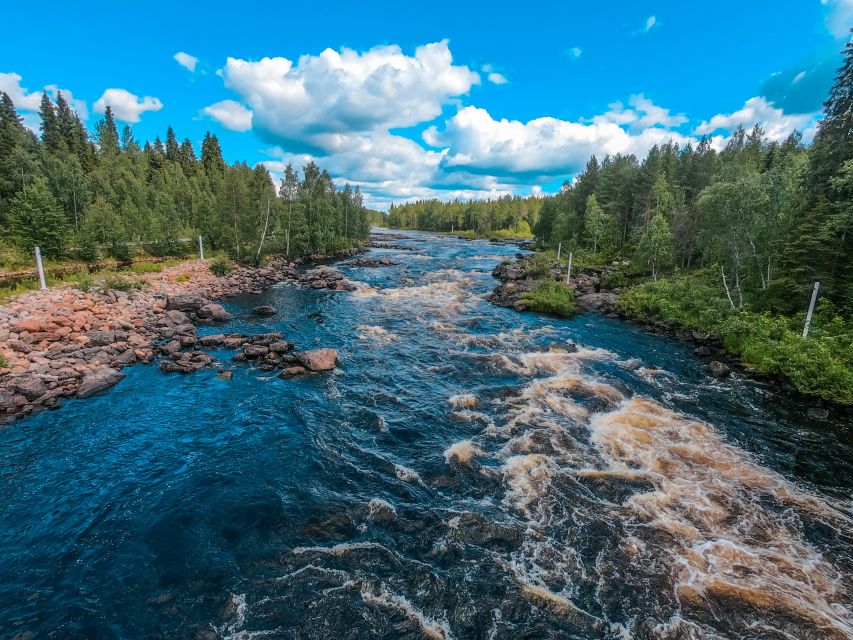 From Rovaniemi: Vikaköngäs Forest Hiking Tour - Why Vikaköngäs feels like real Lapland, fast