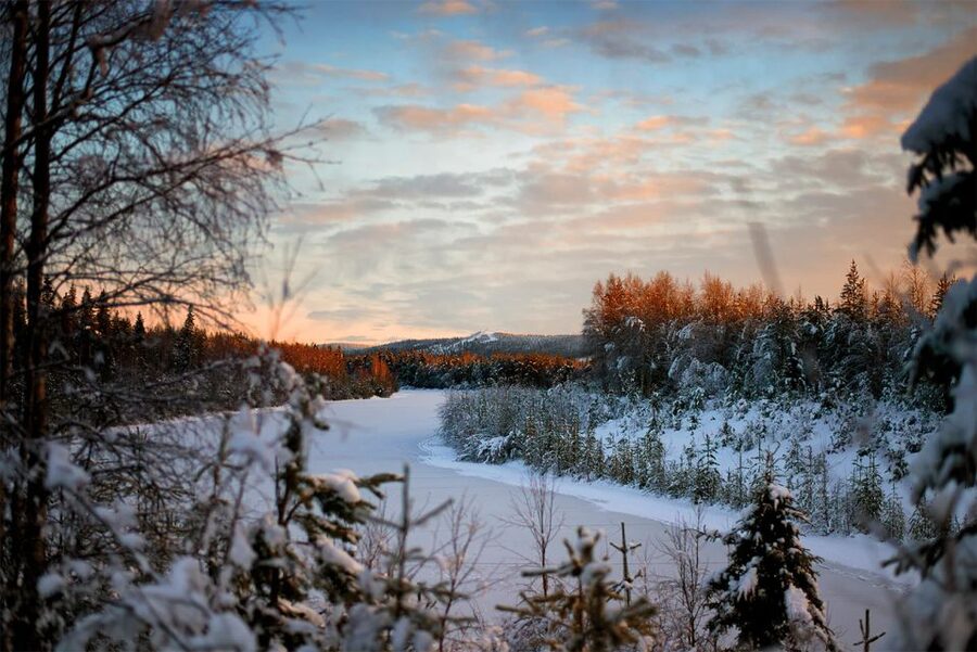 From Rovaniemi: Vikaköngäs Forest Hiking Tour - The kota blueberry stop, and what it adds to the hike