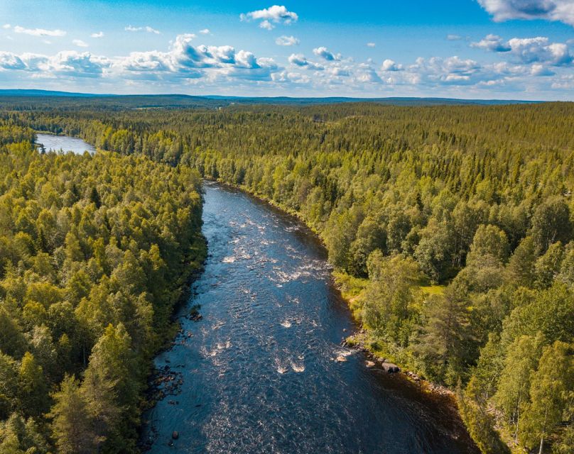 From Rovaniemi: Vikaköngäs Forest Hiking Tour - Should you book the Vikaköngäs Forest Hiking Tour?