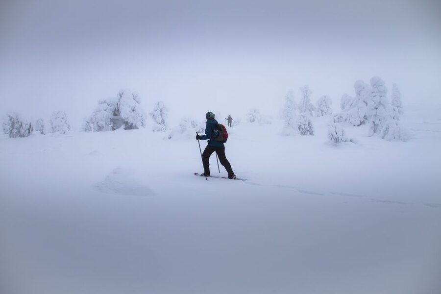 From Rovaniemi: Winter Wonderland Hike with a Hot Drink - From Rovaniemi pickup to a real snowy start